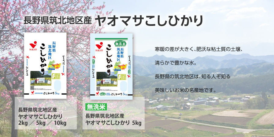 長野県筑北地区産ヤオマサこしひかり