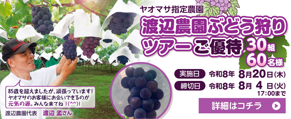 ヤオマサ指定農園 渡辺農園ぶどう狩りツアーご優待 30組／60名様